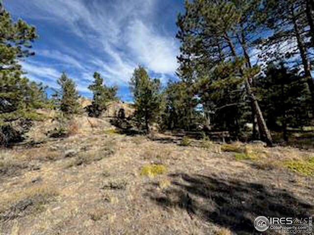 2921 Fox Acres Dr E, Red Feather Lakes, CO 80545