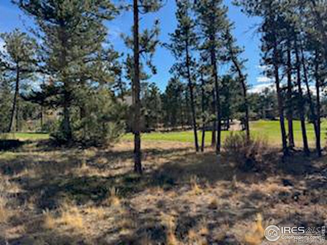 2921 Fox Acres Dr E, Red Feather Lakes, CO 80545