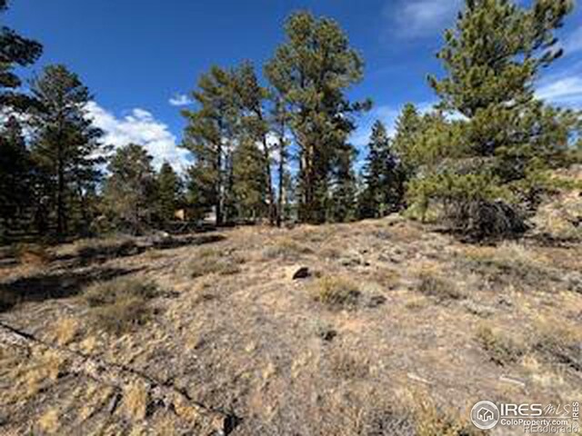 2921 Fox Acres Dr E, Red Feather Lakes, CO 80545