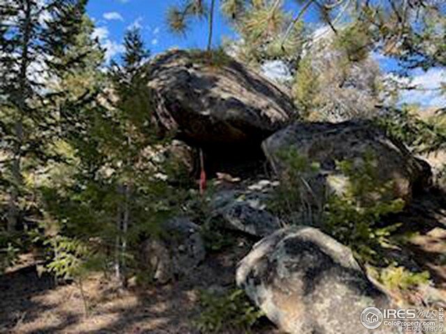 2921 Fox Acres Dr E, Red Feather Lakes, CO 80545