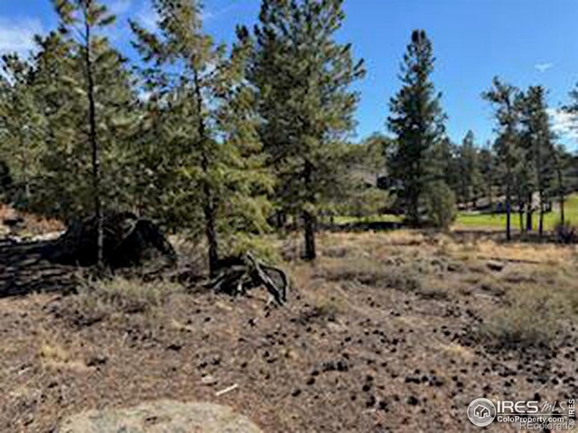 2921 Fox Acres Dr E, Red Feather Lakes, CO 80545