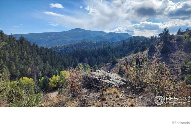 84 Copper Hill Rd, Glen Haven, CO 80532 - photo 10