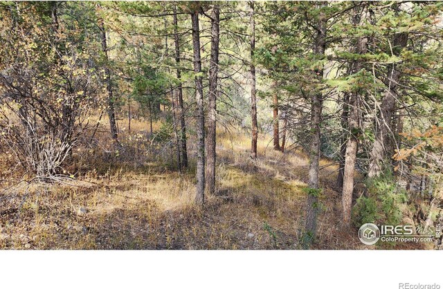 84 Copper Hill Rd, Glen Haven, CO 80532 - photo 15