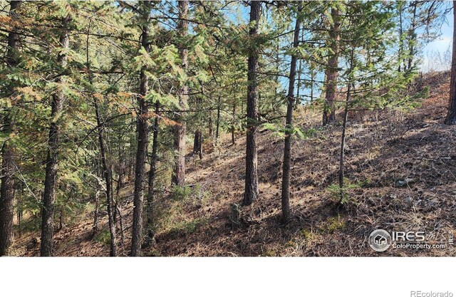84 Copper Hill Rd, Glen Haven, CO 80532 - photo 16