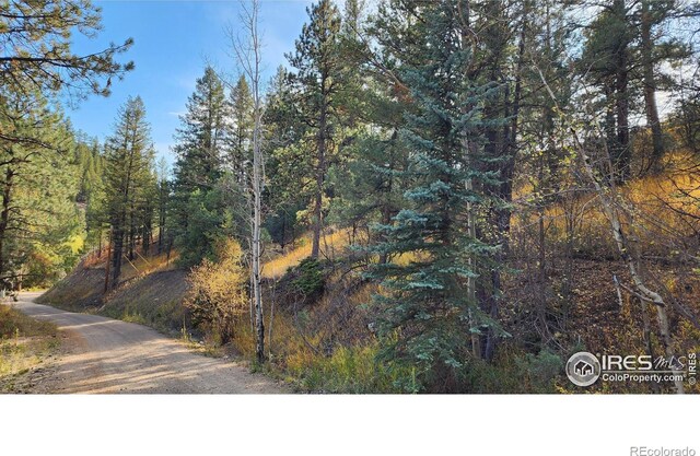 84 Copper Hill Rd, Glen Haven, CO 80532 - photo 19