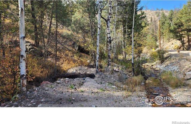 84 Copper Hill Rd, Glen Haven, CO 80532 - photo 20