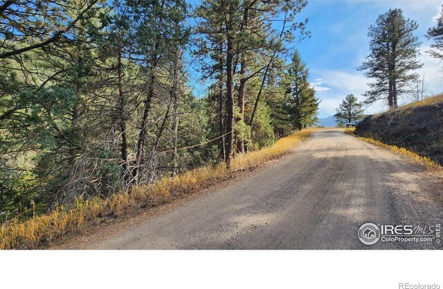 84 Copper Hill Rd, Glen Haven, CO 80532 - photo 22