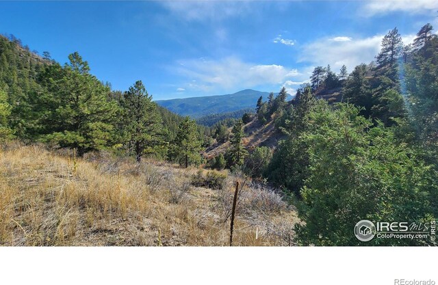 84 Copper Hill Rd, Glen Haven, CO 80532 - photo 23