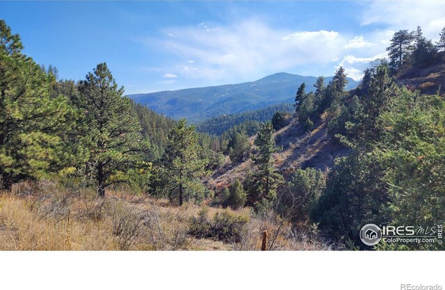 84 Copper Hill Rd, Glen Haven, CO 80532 - photo 24
