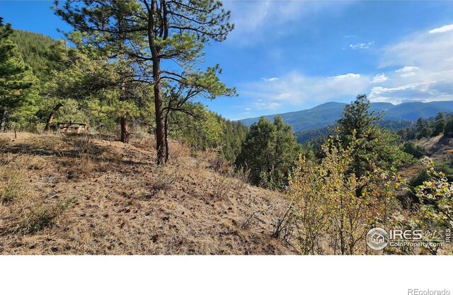 84 Copper Hill Rd, Glen Haven, CO 80532 - photo 25
