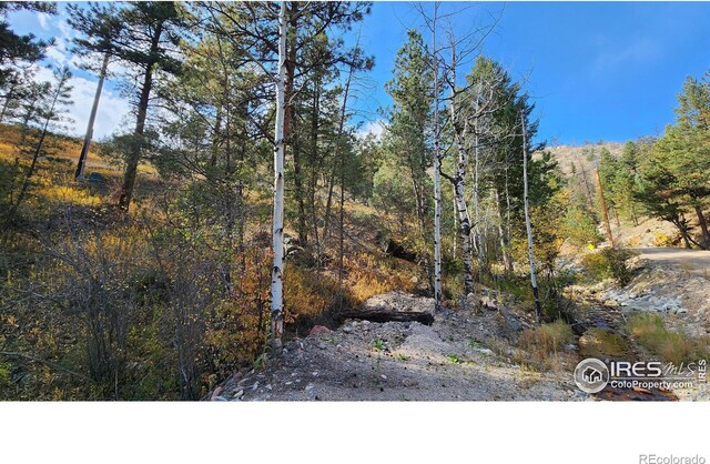 84 Copper Hill Rd, Glen Haven, CO 80532 - photo 26
