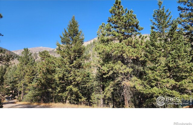 84 Copper Hill Rd, Glen Haven, CO 80532 - photo 28