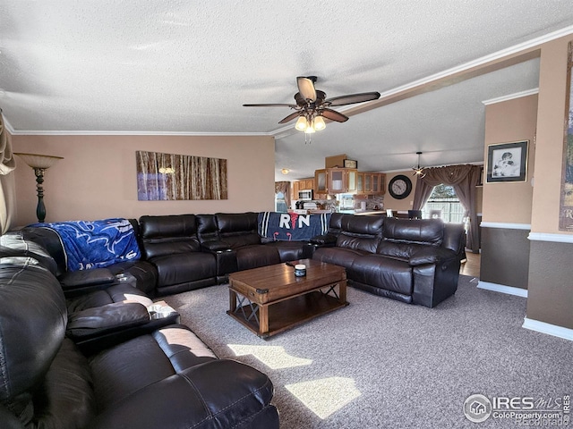 carpeted living area featuring crown molding, a ceiling fan, baseboards, and a textured ceiling