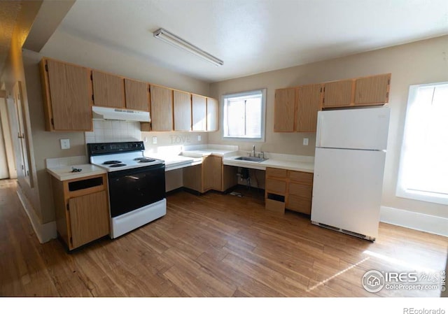 kitchen with decorative backsplash, white appliances, sink, and light wood-type flooring