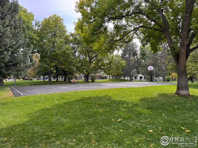 4658 White Rock Cir Unit 5, Boulder, CO 80301 - photo 24