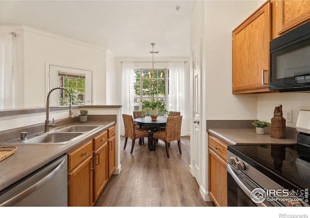 kitchen with hanging light fixtures, appliances with stainless steel finishes, plenty of natural light, and light hardwood / wood-style floors