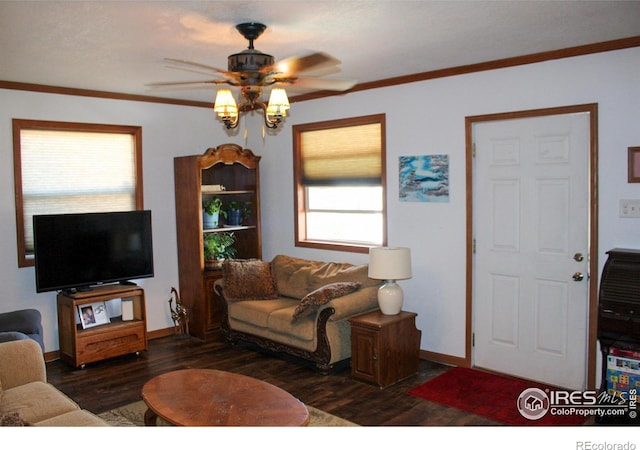 living room featuring dark hardwood / wood-style flooring, crown molding, ceiling fan, and a wealth of natural light