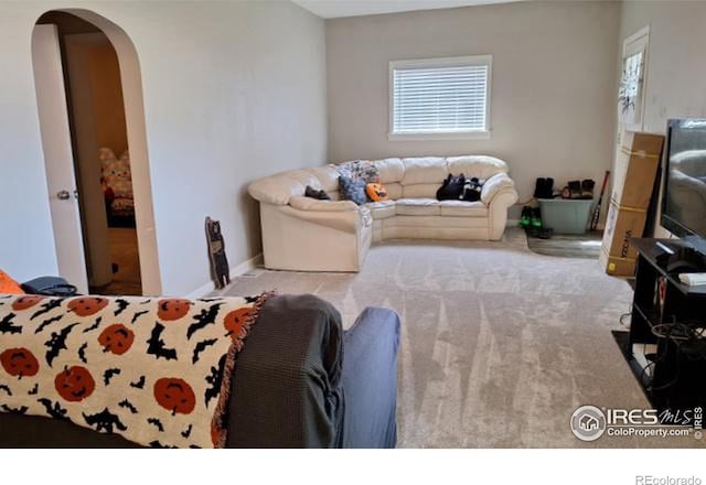 carpeted living room with a wealth of natural light