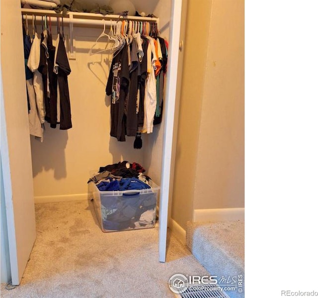 spacious closet featuring light colored carpet