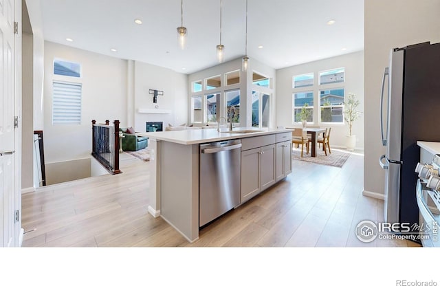 3107 Deering Lake Dr, Loveland, CO 80538 - kitchen with light countertops, light wood-style flooring, appliances with stainless steel finishes, and a sink