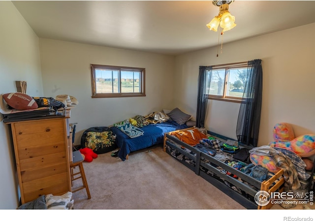 carpeted bedroom with multiple windows