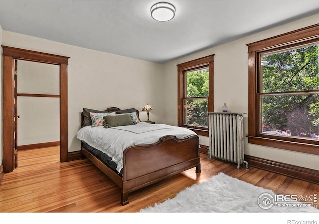 bedroom featuring radiator heating unit, light hardwood / wood-style flooring, and multiple windows