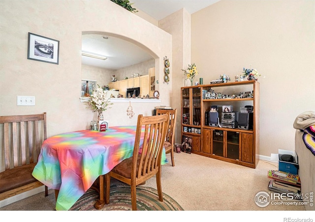 dining area with light colored carpet