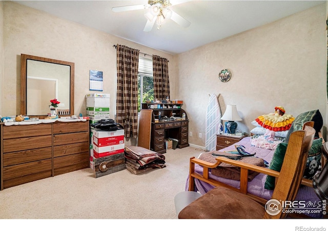 interior space with ceiling fan and carpet