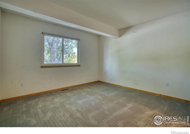 empty room featuring carpet floors