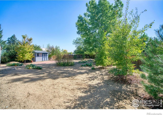 view of yard featuring a garage