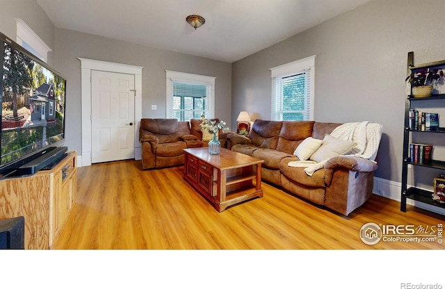 living room featuring light wood-type flooring