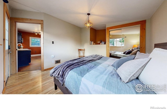 bedroom with a closet and wood-type flooring