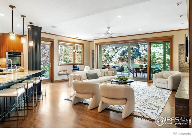 living room with crown molding, wood-type flooring, sink, and ceiling fan with notable chandelier