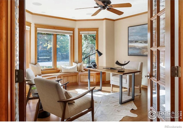 office featuring ceiling fan, crown molding, and wood-type flooring