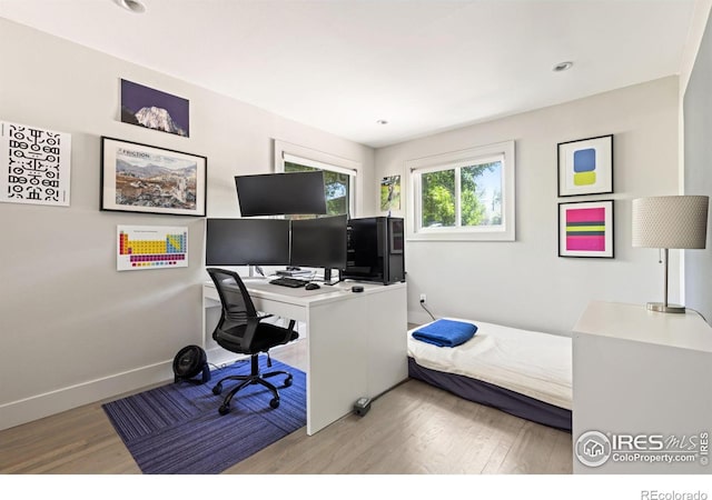 office space featuring wood-type flooring