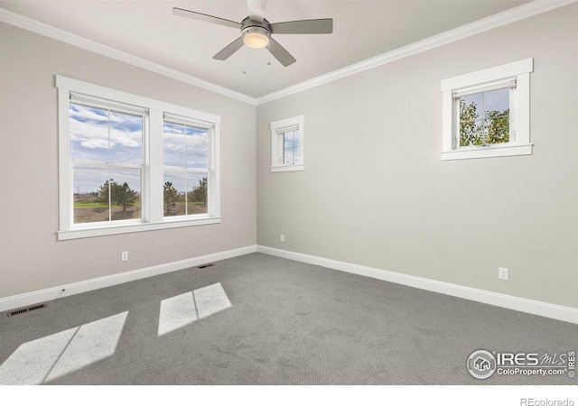 spare room featuring crown molding, carpet, and ceiling fan