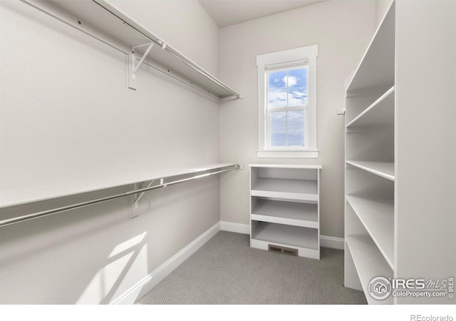 spacious closet featuring carpet floors