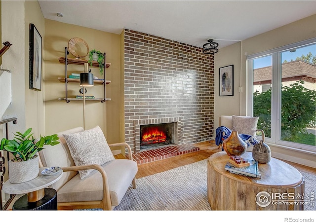 living room with a fireplace and wood-type flooring