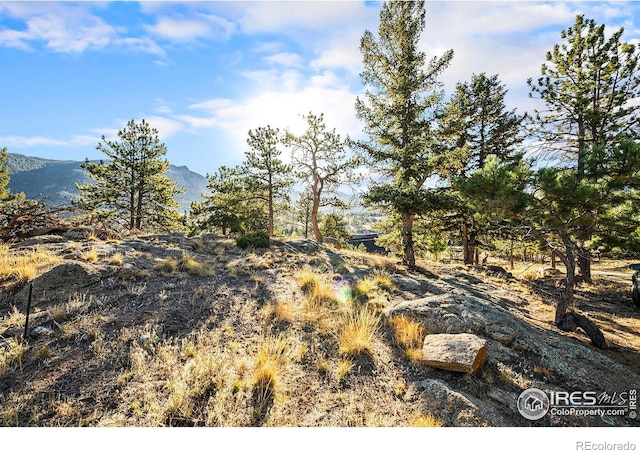 2630 Ridge Ln, Estes Park, CO 80517