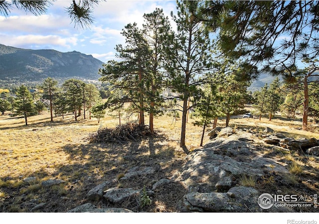 2630 Ridge Ln, Estes Park, CO 80517