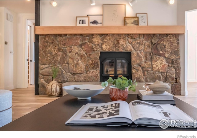 details featuring a fireplace and wood-type flooring