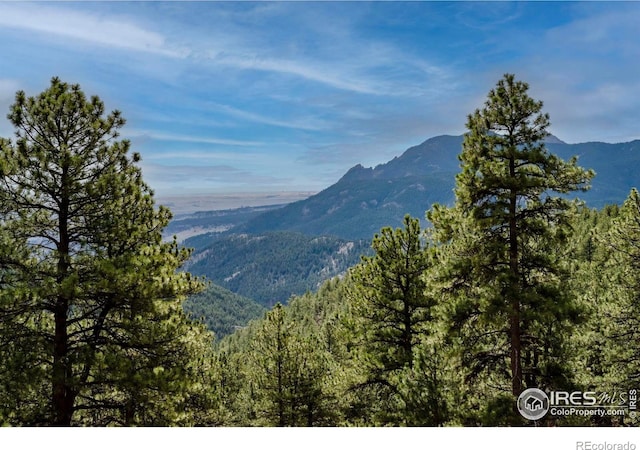 property view of mountains