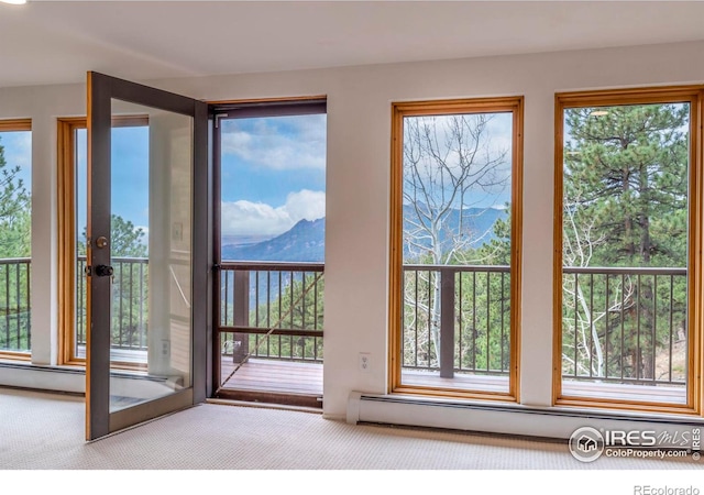 doorway to outside with a wealth of natural light and light colored carpet