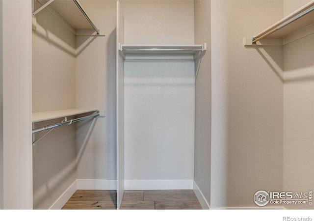 walk in closet featuring hardwood / wood-style flooring