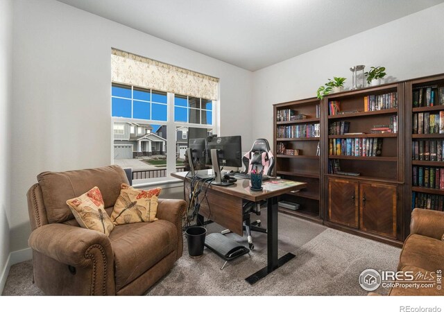 view of carpeted office space