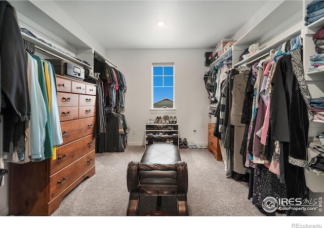 spacious closet featuring light colored carpet