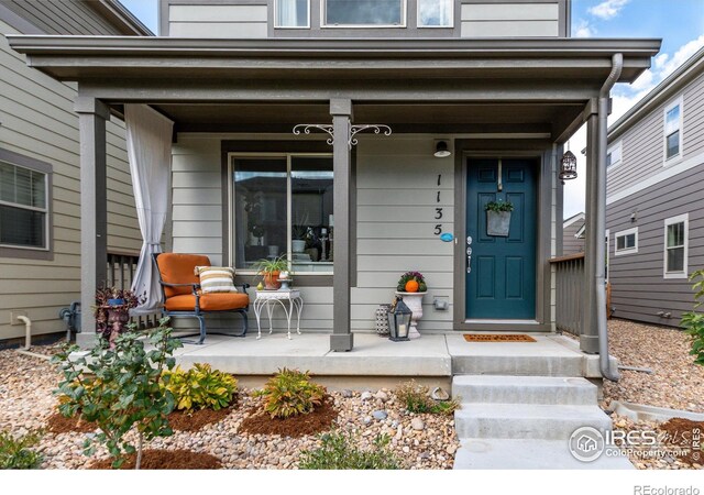 entrance to property featuring covered porch