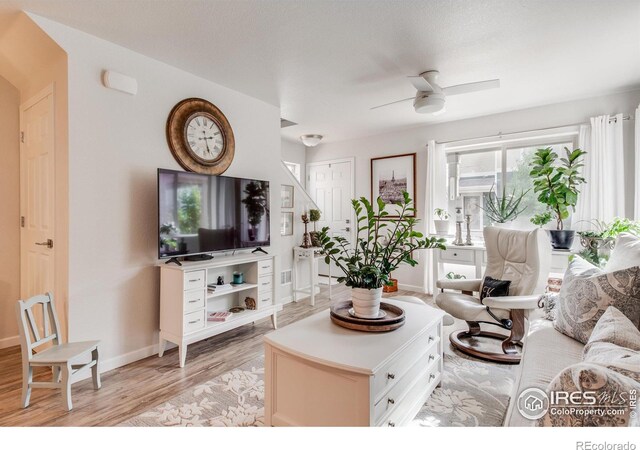 living room with light hardwood / wood-style floors and ceiling fan