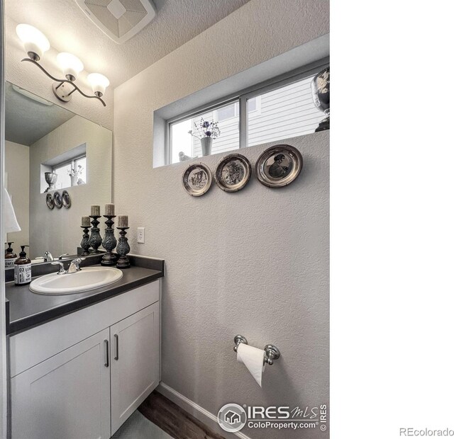 bathroom featuring vanity and hardwood / wood-style floors