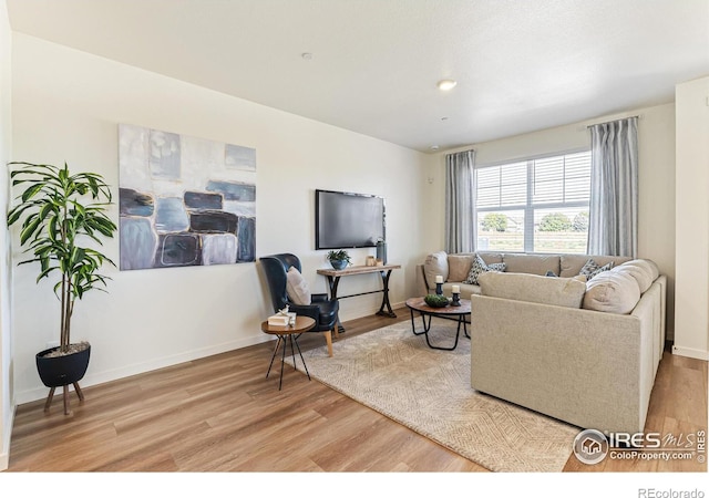 living room with light wood-type flooring